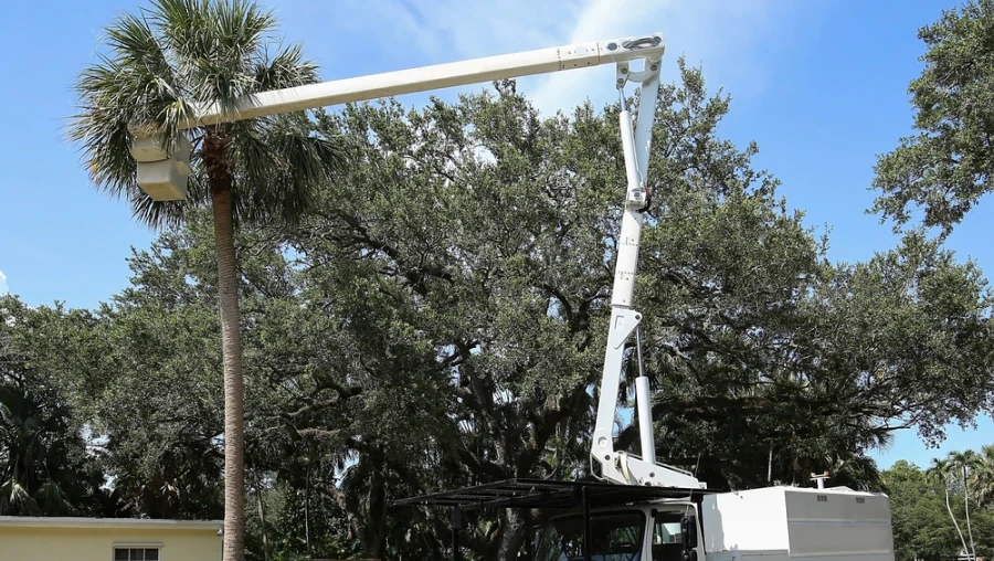 Crane & Climbing Services